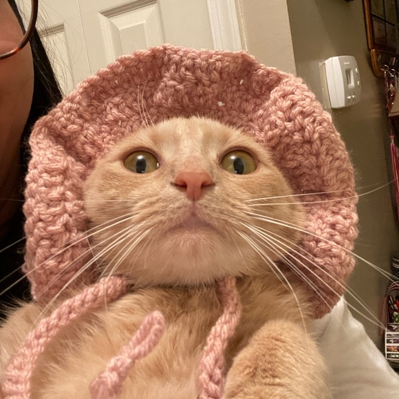 Crochet cat or small dog hat! 🥰 - Picture 3 of 5